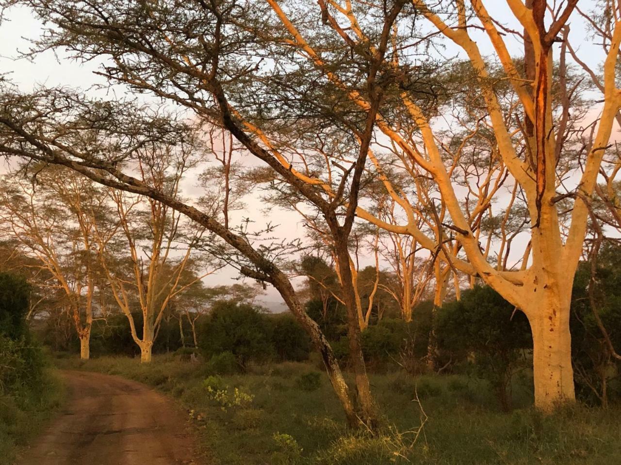 Msunduze River Lodge Mkuze Exteriér fotografie